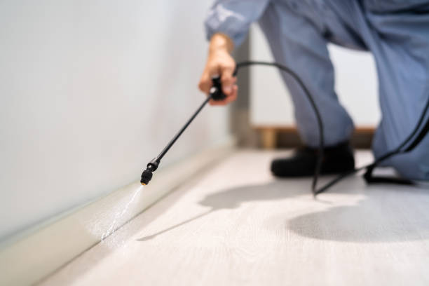 Licensed Termite Control service in Georgetown, CA - Nex Pest Control