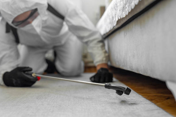 Professional Termite Control technician working in Georgetown, CA