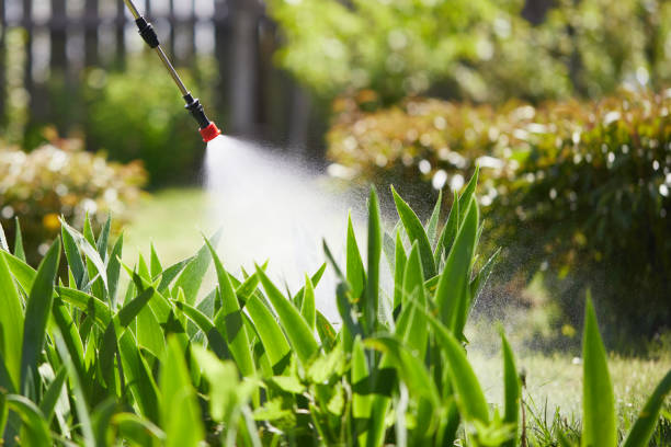 24/7 Emergency Termite Control experts in Georgetown, CA