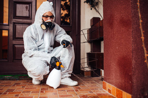 Reliable Termite Control contractor in Georgetown, CA by Nex Pest Control