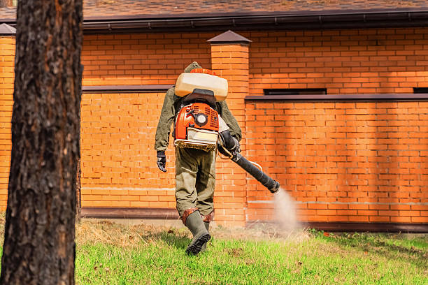 Top rated local Termite Control specialists in Georgetown, CA
